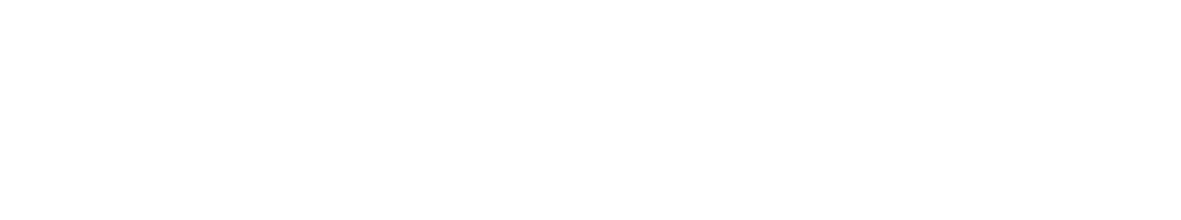 Logo ENCAMINA sin claim blanco XL