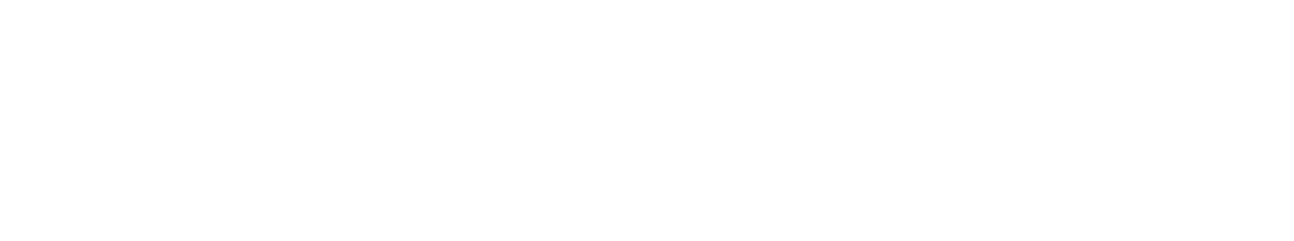 Logo ENCAMINA sin claim blanco XL 1
