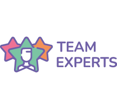 logo teamexperts 1