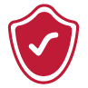 Protección Perimetral y Networking 4 icono3 1