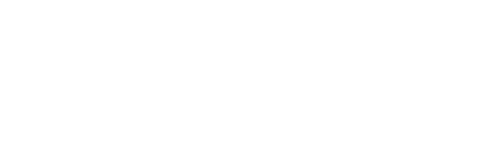 Flutter logo 1