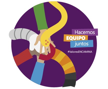 Hacemos equipo juntos